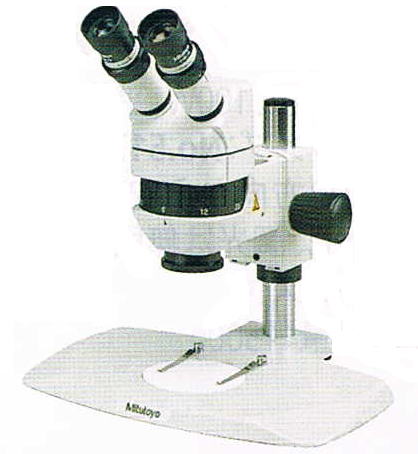 実体顕微鏡写真