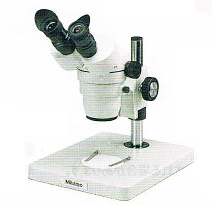 実体顕微鏡写真